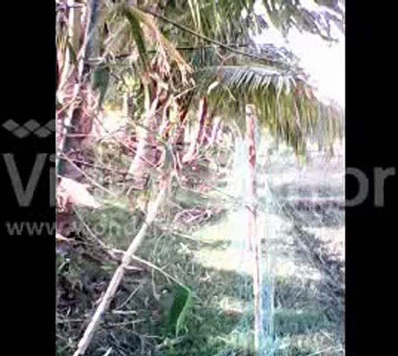 sandwip amar 5