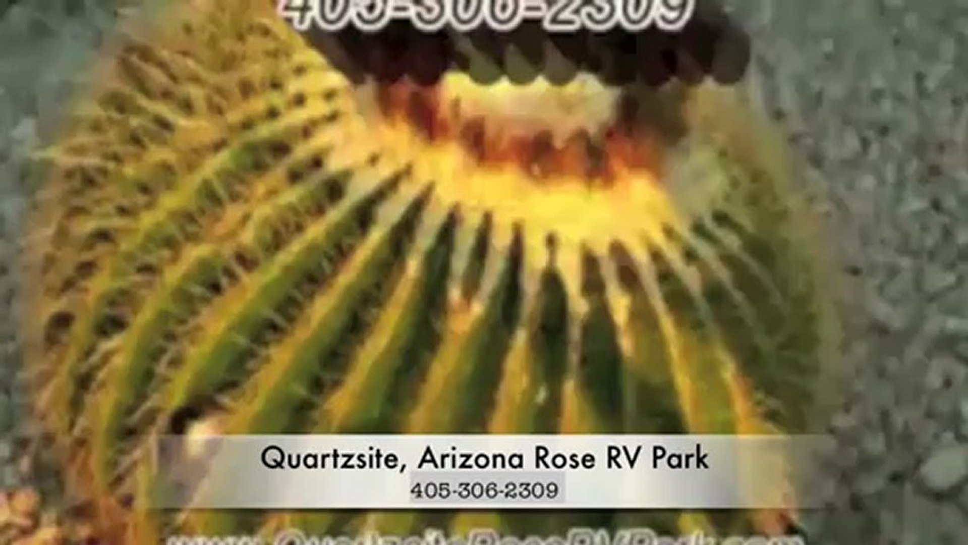 RV Park Arizona  - Camping Quartzsite, Arizona