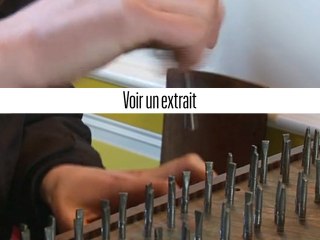 Extrait de "Ricercar" de Henry Colomer (2011)