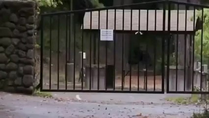 ResistenciaBrasilSul - Bohemian Grove (Desvendando Códigos)