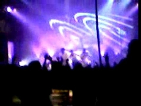 diams jeune demoiselle