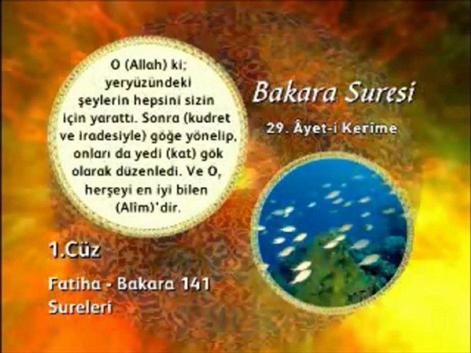 Bakara Suresi 29. Ayet-i Okunuşu ve Meali Okyay Derneği