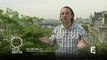Les barbecues solaires d'IDCOOK dans télématin (France2) - IDCOOK solar barbecue on Frenc TV