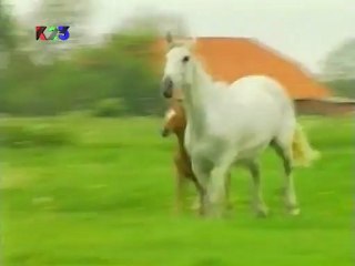 K23TV - Konji ponovo jure - (9. deo)