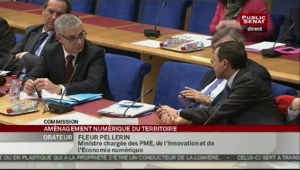 SEANCE,Audition de Fleur Pellerin