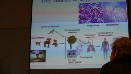 Teun Boekhout - Applications of Phylogenetic Networks in Yeasts