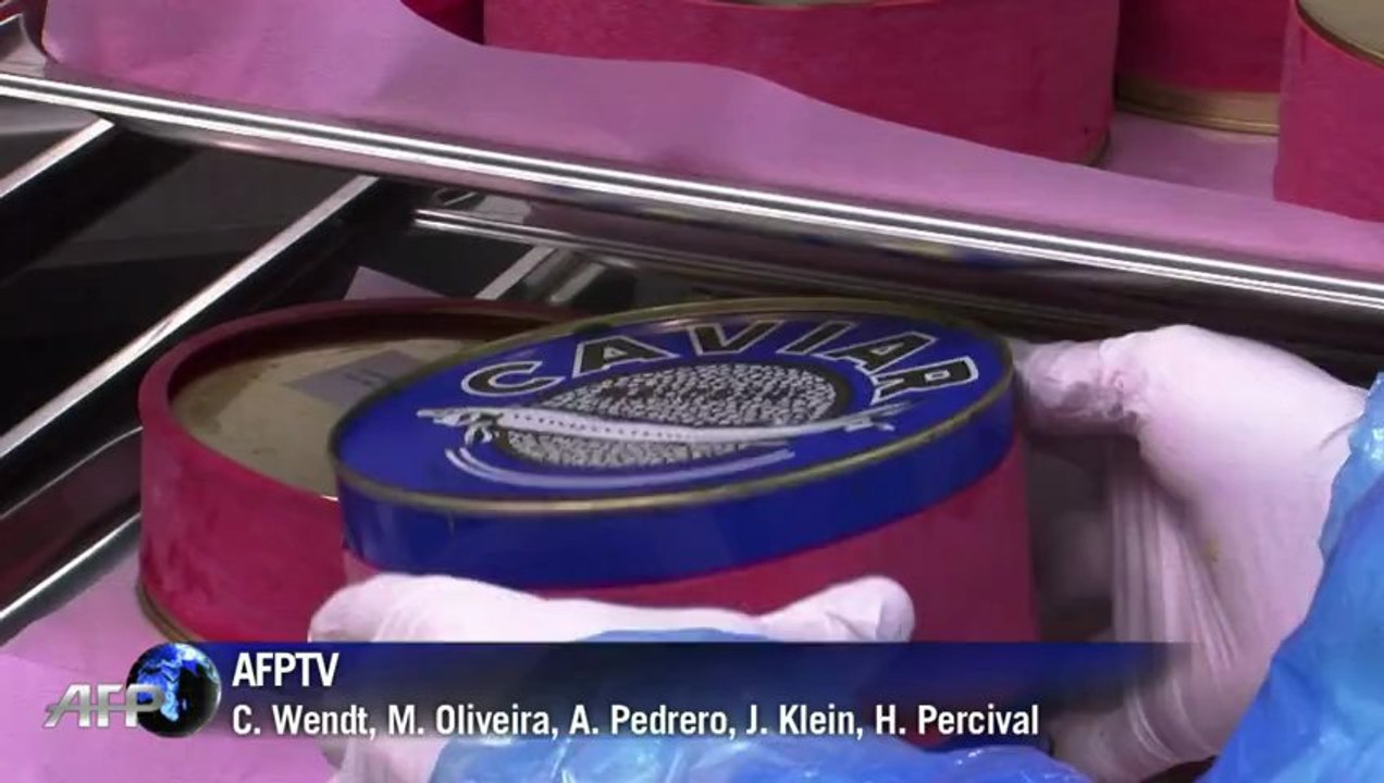 Caviar do Alpes Suíços