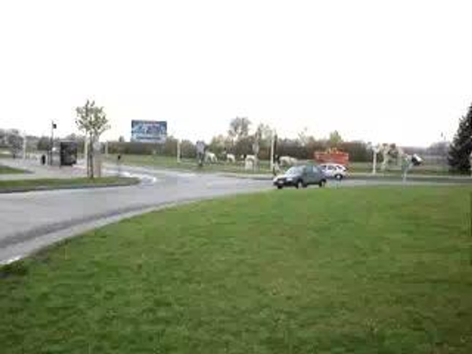 saxo 1.5D rond point