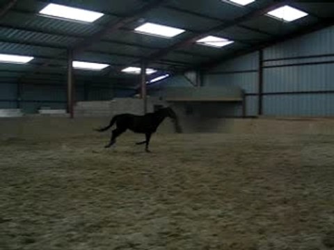 1ere seance en liberté