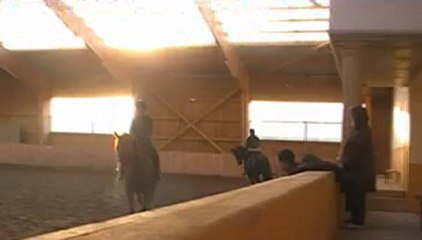 Tash Dress in Size 12 👗