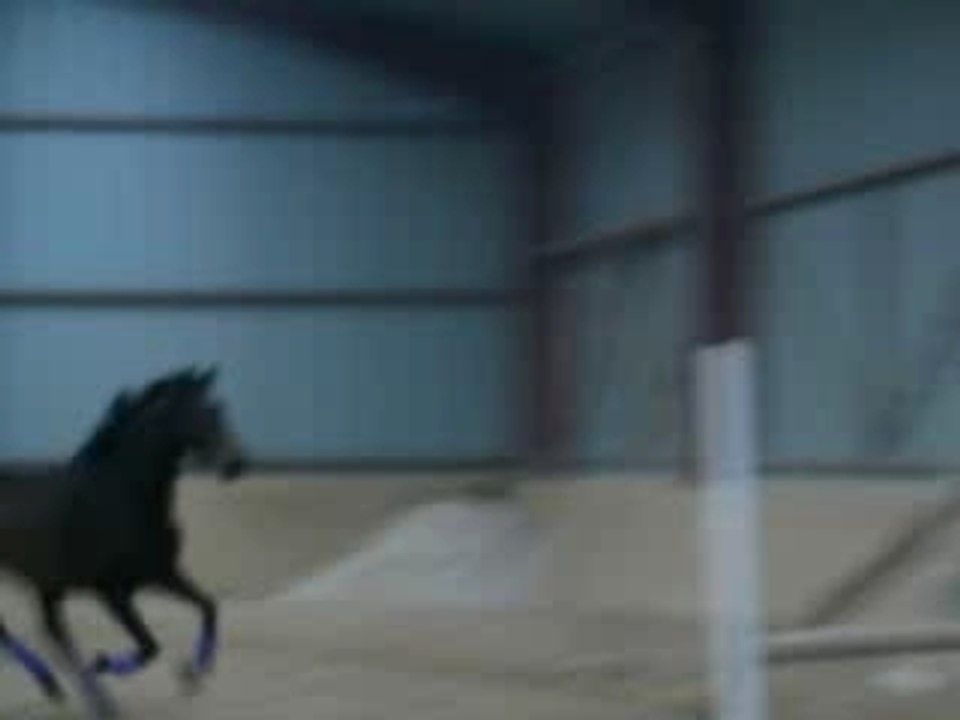 saut en liberté