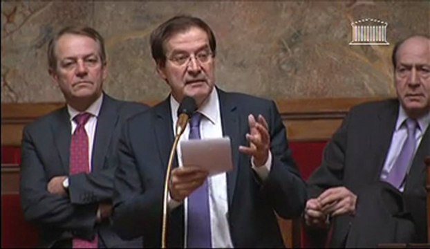 Pierre Alain Muet, explication de vote du collectif budgétaire 121211