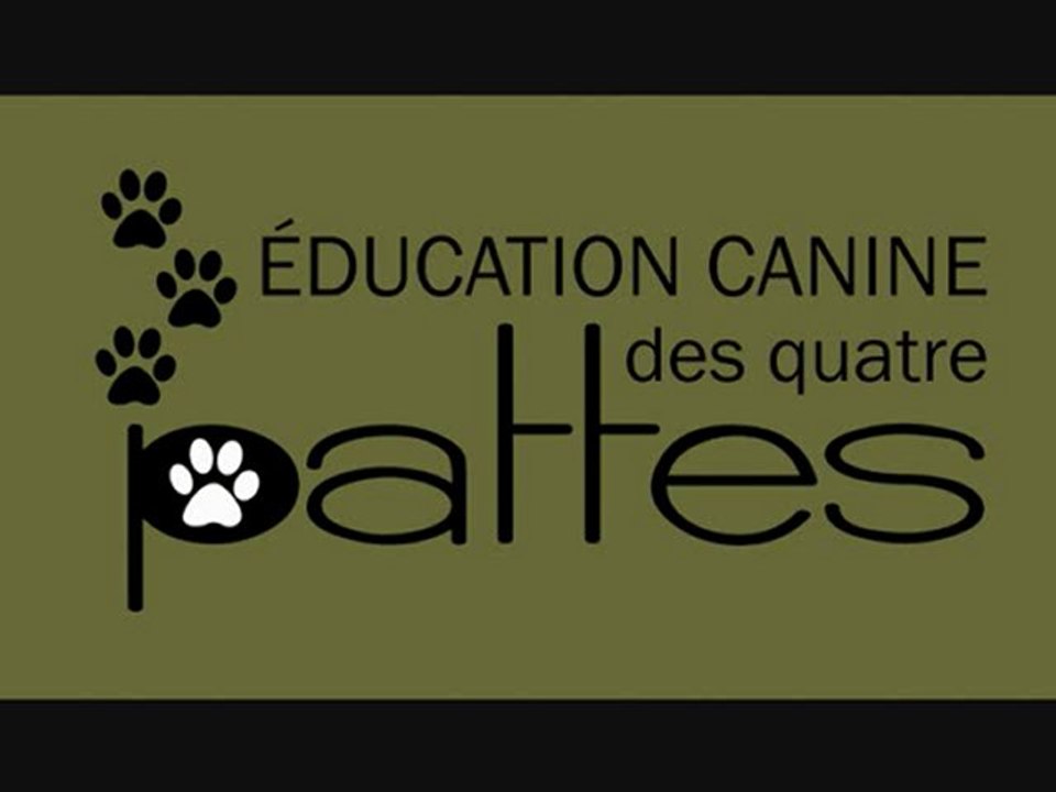 Éducateur canin: La bonne pension pour votre chien