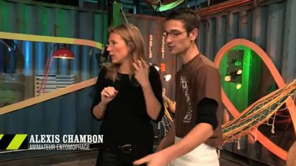 EM17 Peut-on se nourrir avec tous les insectes ?