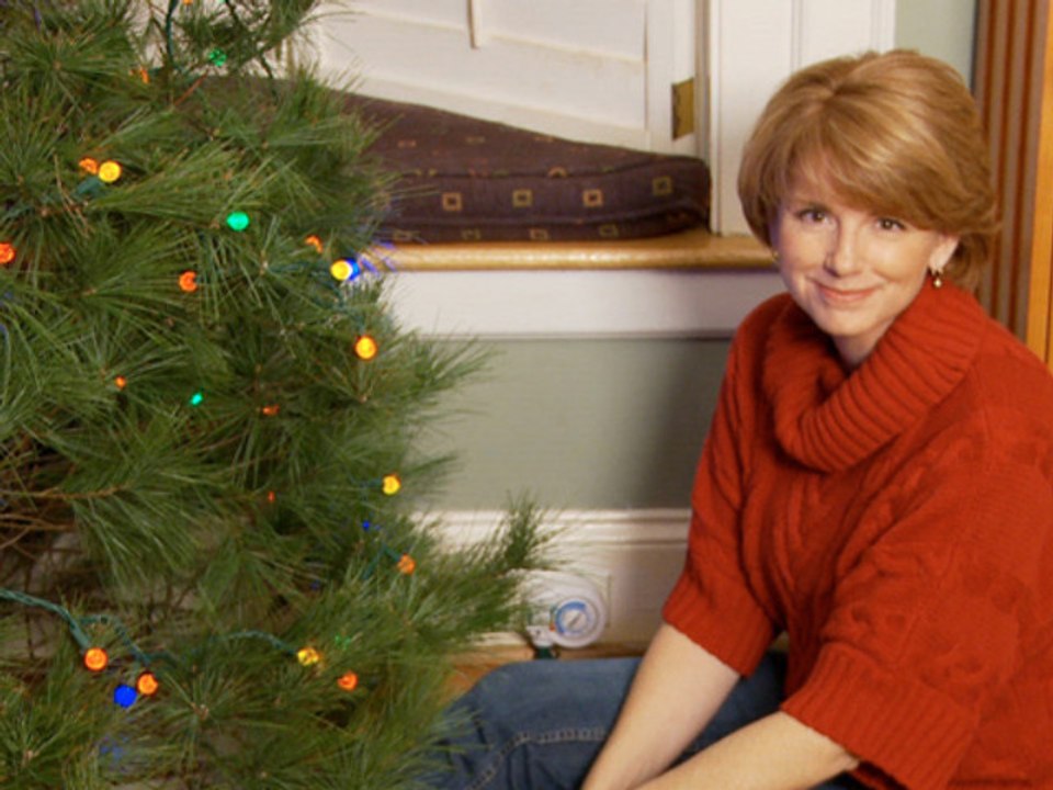 Let the holidays shine with LED lights