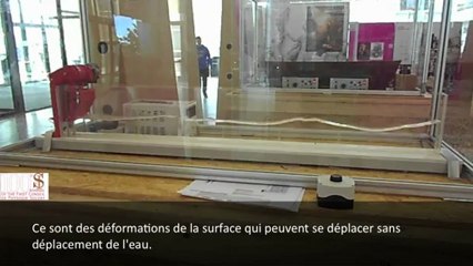 Remue-méninges à l'Université de Namur : expériences sur les ondes