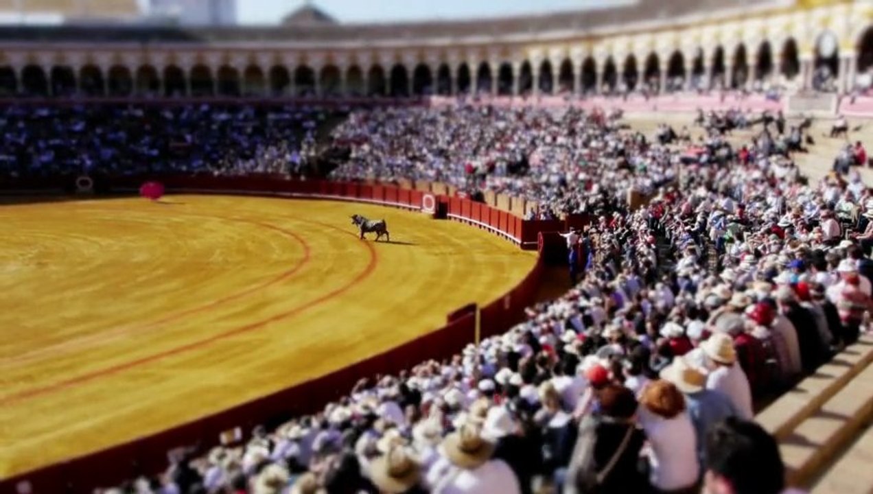 Tiny Torero
