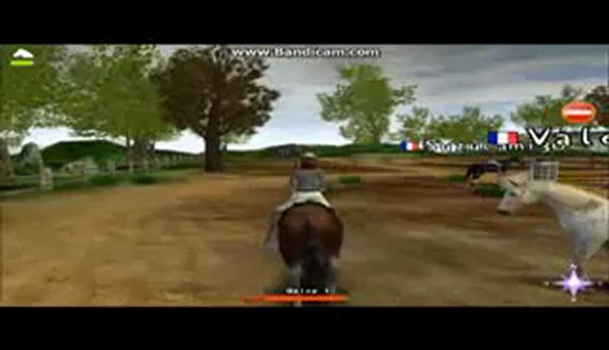 Mission Equitation Online - CSO Irlande