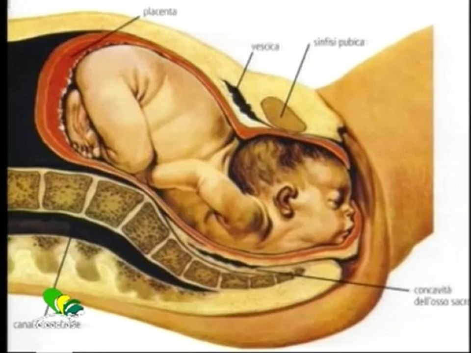 Ruoppolo Teleacras - Bambini in cronaca