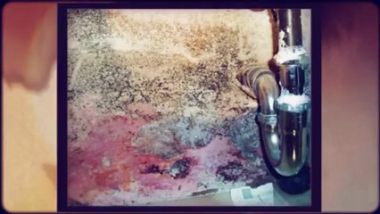 Atlantic Building Inspections - Horrors