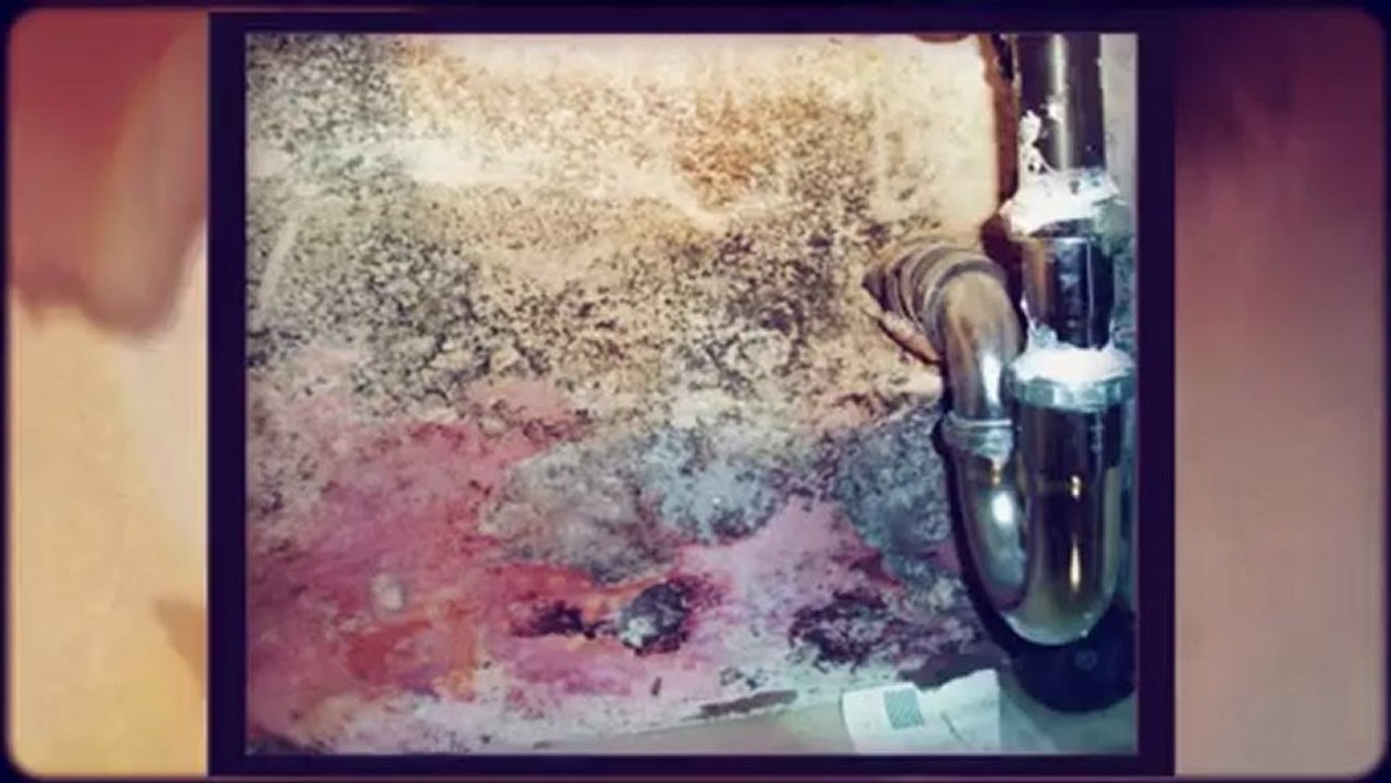 Atlantic Building Inspections - Horrors
