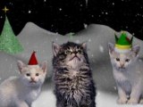 Jingle Cats meow in Blu-ray