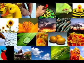 icon0.com , love free photo , Free Photo ,Free Images