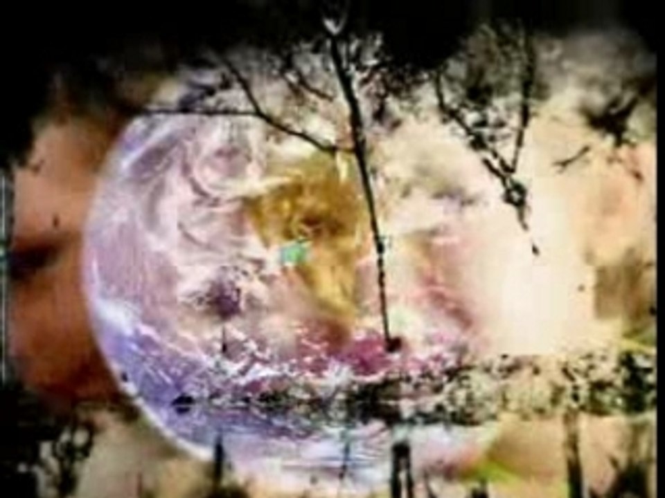 wanderfull world