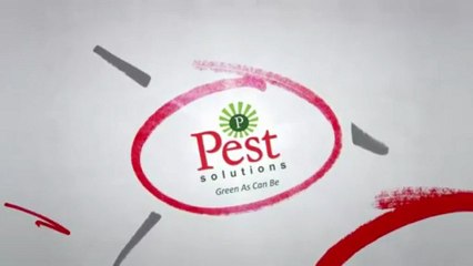 Portland Pest Control | 503-895-2510