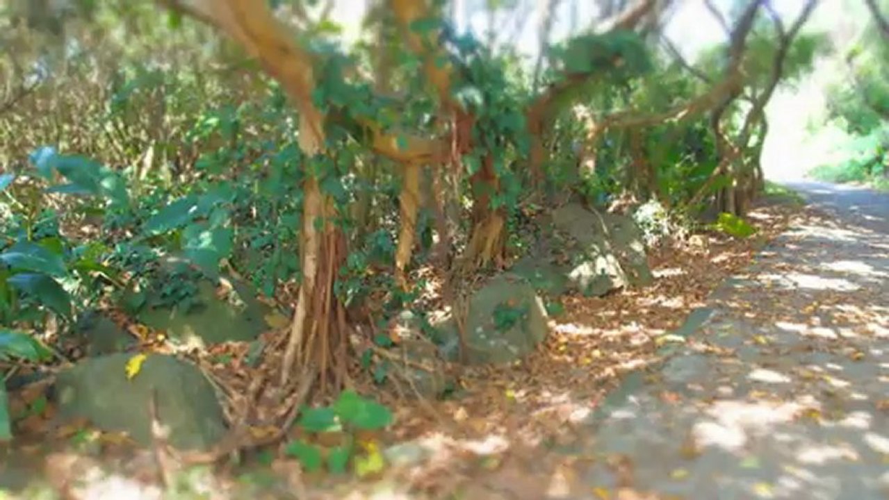 2012 10 18 麟山鼻 Karl Goldmark - concerto No.1 for violin and orchestra in a minor  op.28  Violin - Joshua Bell