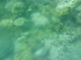 CoronTrip-Day3-CYCCoral 1