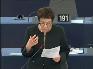 @SarahLudfordMEP on #EU #humanrights strategy & #democracy