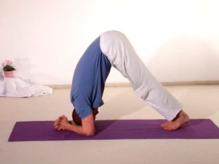 Yoga Vidya Anfängerkurs Woche 6 Teil 3