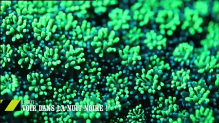 EM18 Défi : voir dans la nuit noire