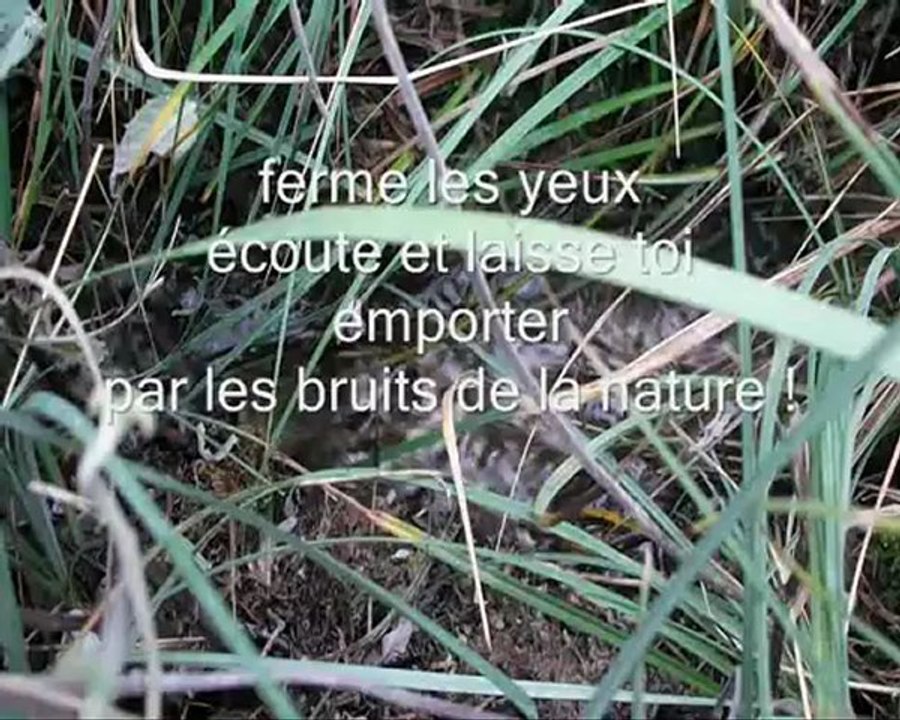 PAUL ARENE la source du bastidon 2012