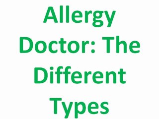 Allergy Doctor The Different Types