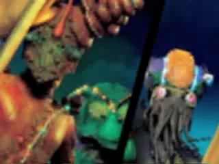 Boman supports excellence