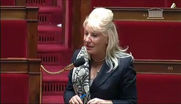 Nicole Ameline - PLFSS explication vote