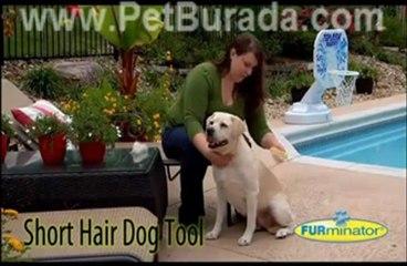 Petburada.com Türkiyenin En Büyük Online Pet Shop'u