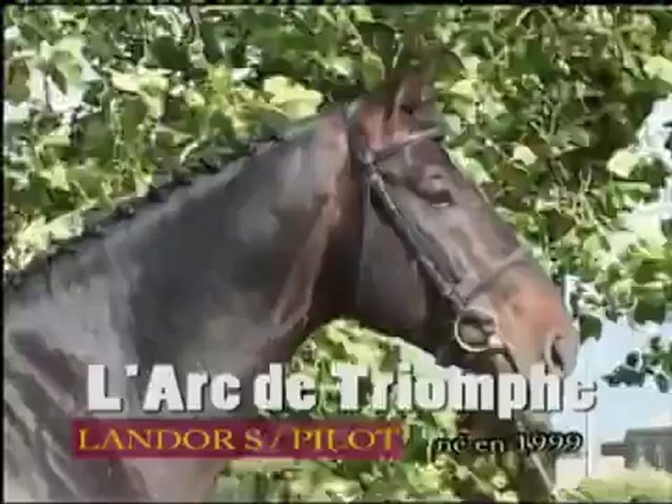 L'ARC DE TRIOMPHE STALLION BY LANDOR S   PILOT(1)