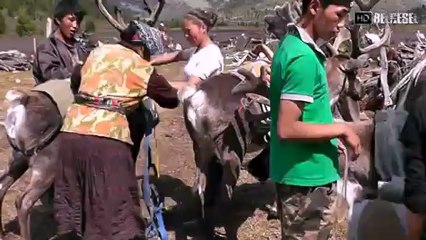 Kayıp Türkler Belgeseli - Rengeyiği Türkleri