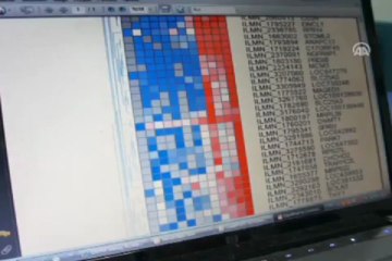 Rahim duvarının gen haritası çıkarıldı