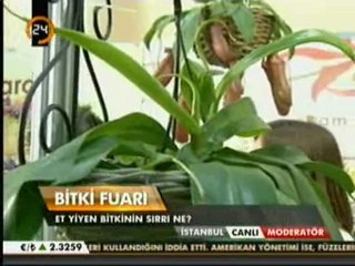 KANAL 24 MODERATÖR PROGRAMI FLOWER SHOW 2012 CANLI YAYIN