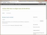 Utiliser PHP dans le widget texte de Wordpress