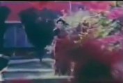 Old PTV Pakistan Commercials