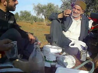 zeytin ekimi çay molası