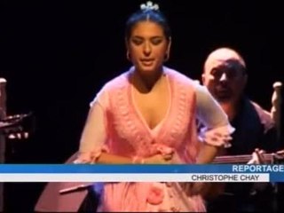 Exposition de Flamenco à l’Institut Andalou (Nîmes)