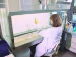 Commerzbank schreibt wieder schwarze Zahlen