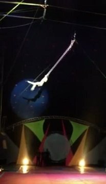 MONIKA VARGA-trapeze-presents Art agency Valentino