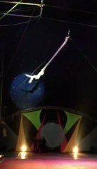 MONIKA VARGA-trapeze-presents Art agency Valentino